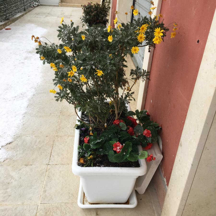 Amaranto Bnb Matera Dış mekan fotoğraf